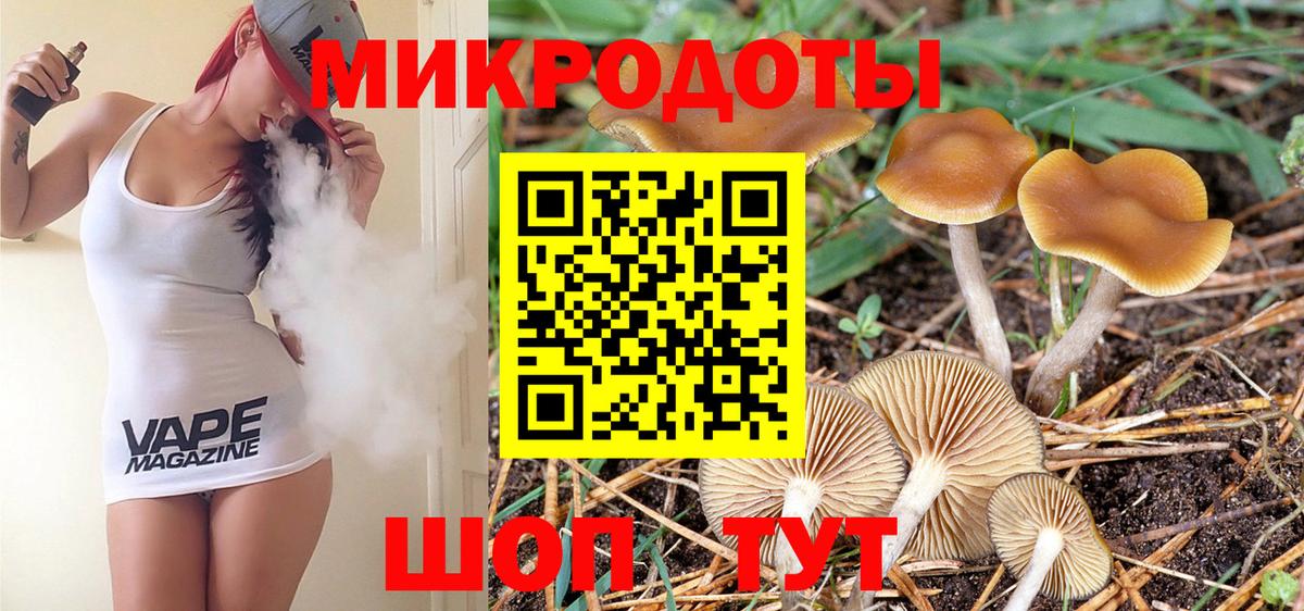 Галлюциногенные грибы MAGIC MUSHROOMS  магазин    Топки  Вход с VPN 