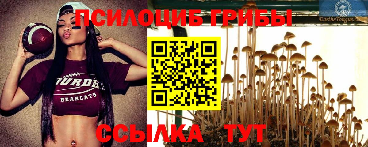 Галлюциногенные грибы Magic Shrooms Топки